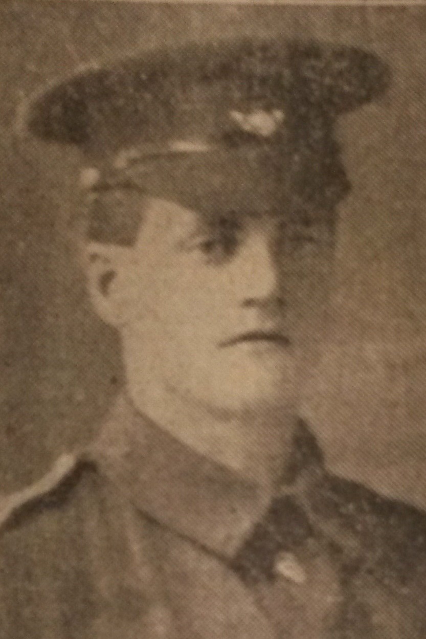 Schofield, William.jpg